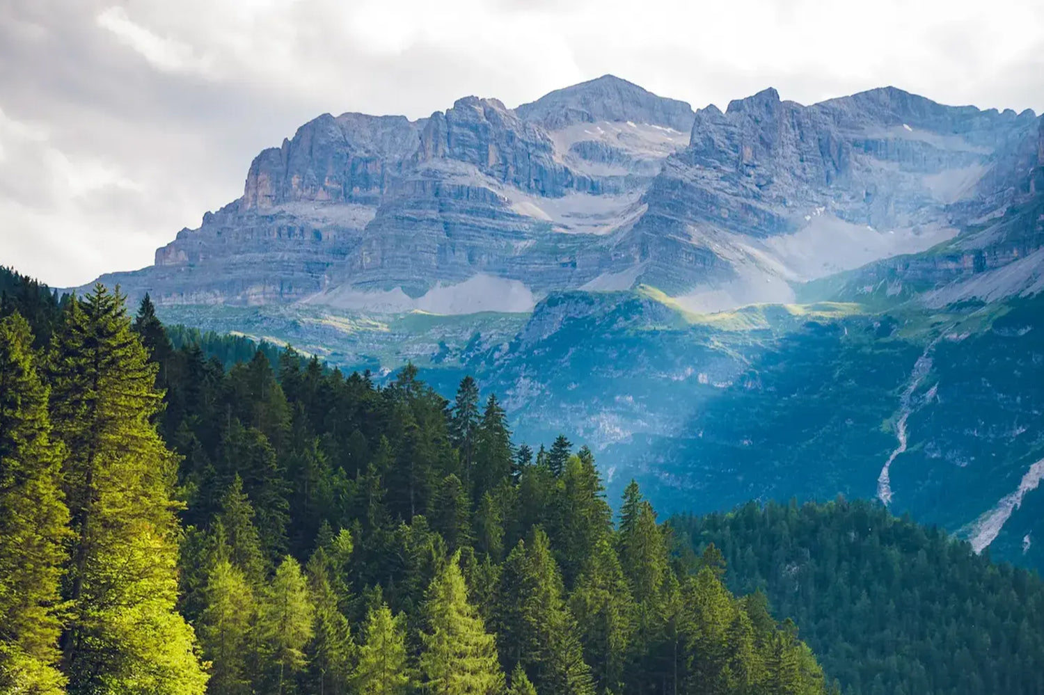 Black Leaders in the Outdoors