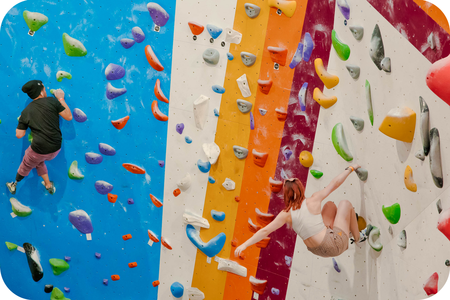 climbers at los Angeles indoor climbing gym for all ages
