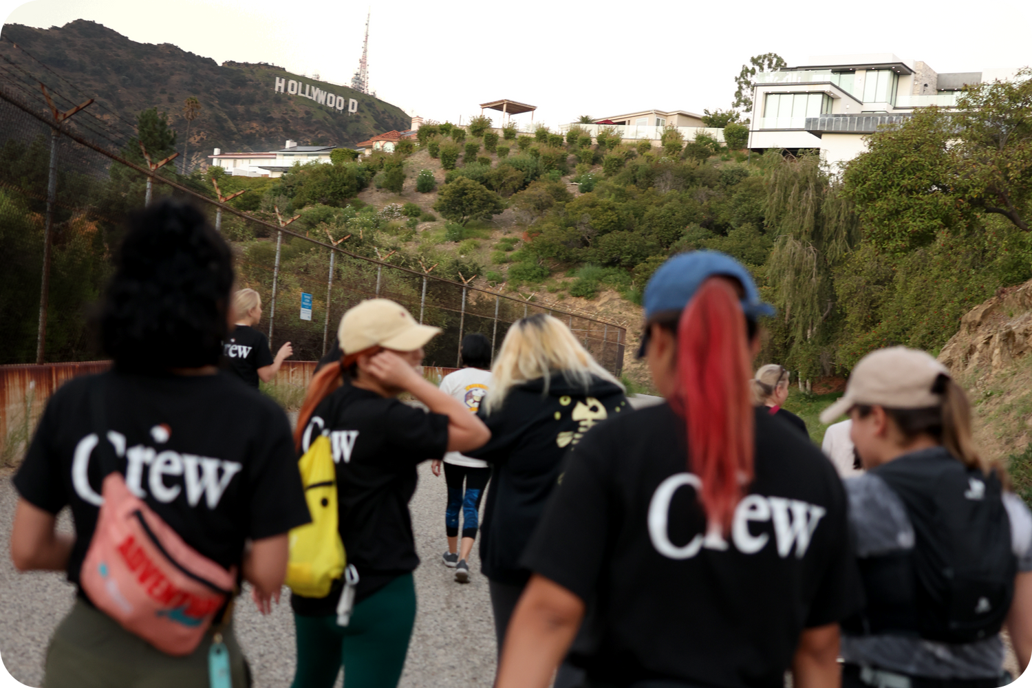 Wondery Hike Crew Hollywood Hills Event