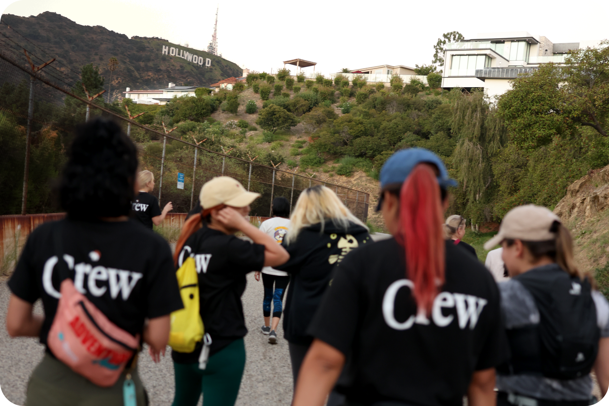 Wondery Hike Crew Hollywood Hills Event