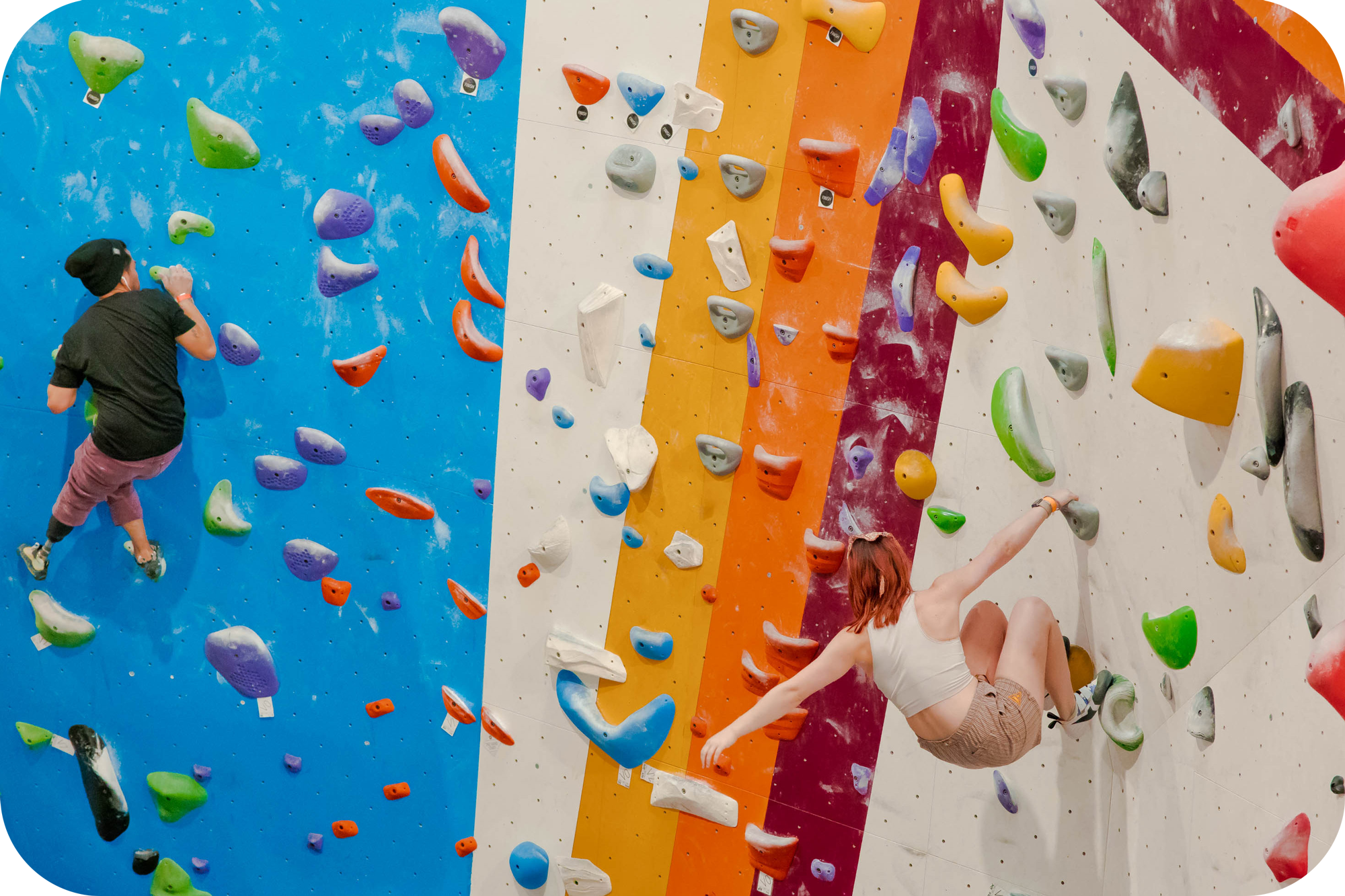 climbers at los Angeles indoor climbing gym for all ages