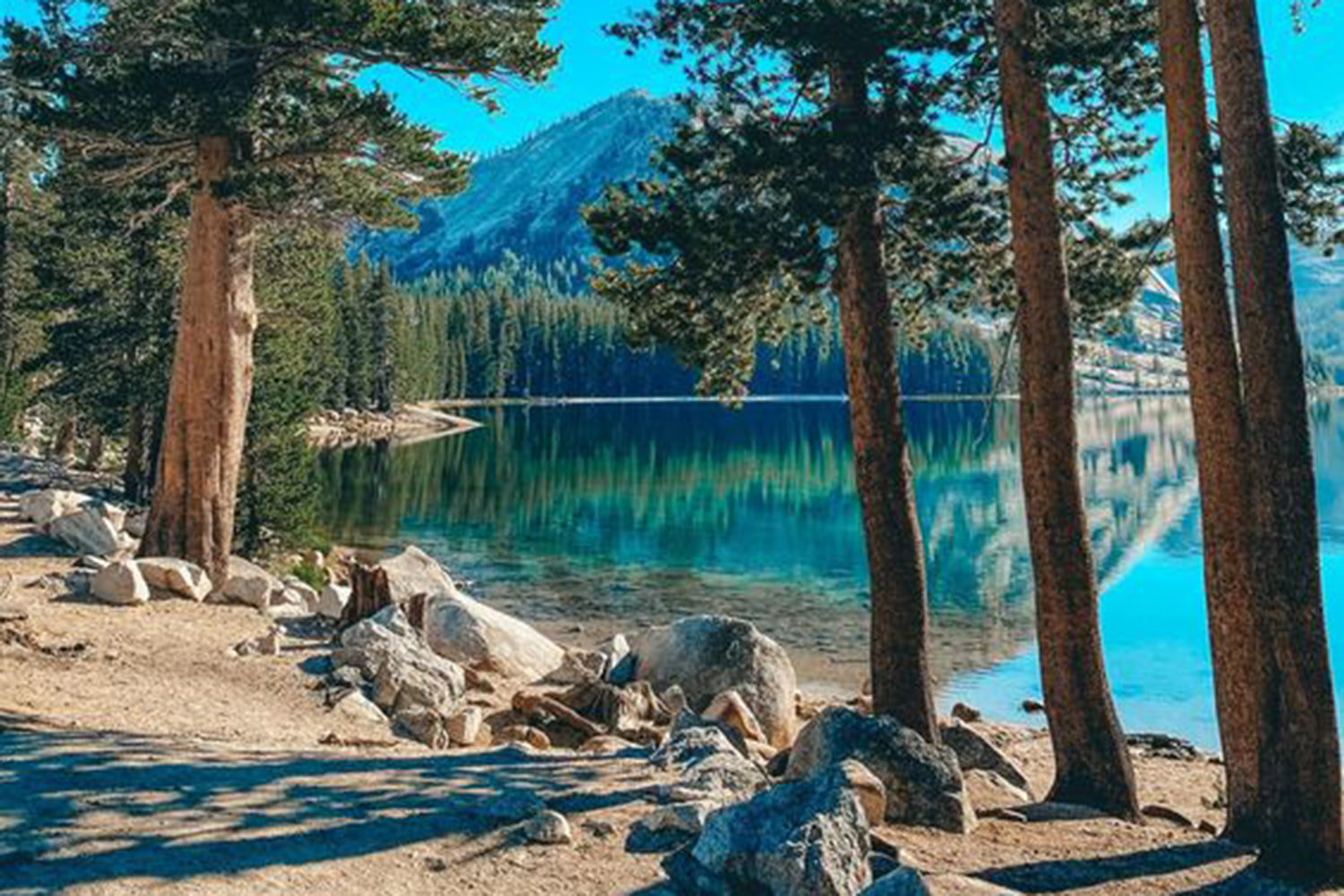 United In Yosemite: Wondery Joins the Celebration of Diversity in Climbing